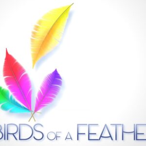 Birds Of A Feather Graphics - four feathers slowly drift down from the sky