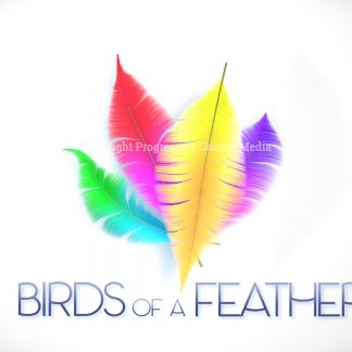 Birds Of A Feather Video - four colorful feathers with the words "Birds of a feather"