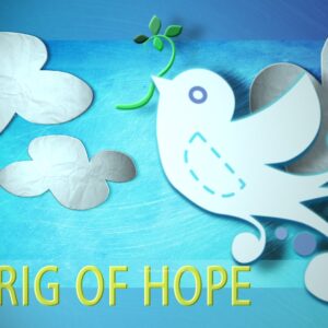 Sprig (Hope) Video - a white dove bringing a single sprig back to the Arc