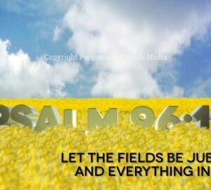 Psalm 96:12 Video - a sunny field of flowers with the text from Psalm 96:12