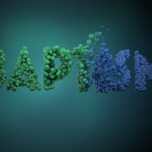 Baptism Immersion Video