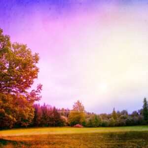 Autumn Second Spring Graphics - image features a vibrant, colorful fall meadow