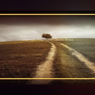 Fall Scenery Background Graphics - a lone tree stands in a field on a crisp fall morning