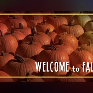 Fall Scenery Background Video - a pumpkin patch welcomes everyone to Fall