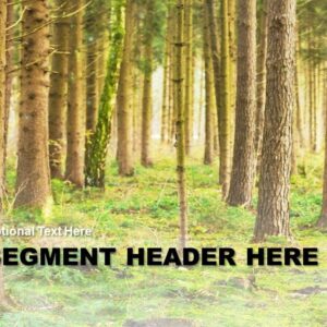 Forest Welcome PowerPoint - slide with text placeholders; background is a lush forest