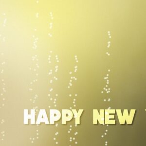 Champagne Bubbles Videos