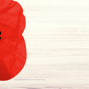 Remembrance Worship Graphics - A red poppy against a white wooden background