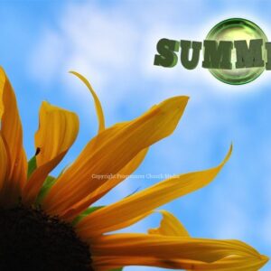 Summer Greeting Graphics - a brilliant sunflower against a blue summer sky