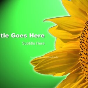Summer Greeting PowerPoint - slide with text placeholders; green background with a brilliant sunflower