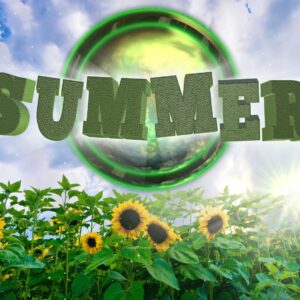 Summer Greeting Video - the word "Summer" over a field of sunflowers