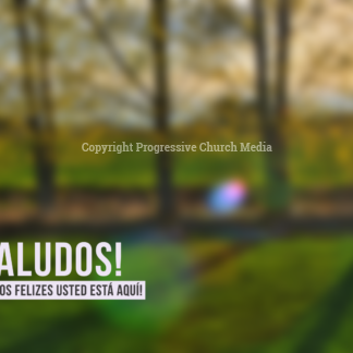 Church Service Welcome Video - a forest at sunrise welcomes everyone to worship