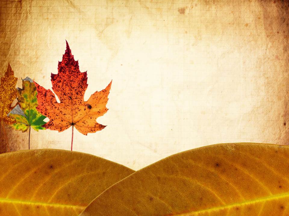 fall leaves background powerpoint progressive church media fall background for powerpoint