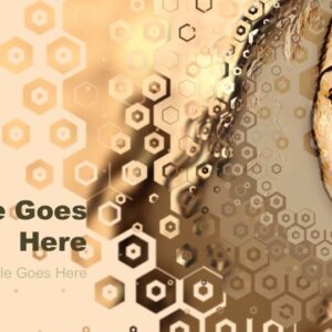 Women Of The Bible: Divine Feminine 3 PowerPoint