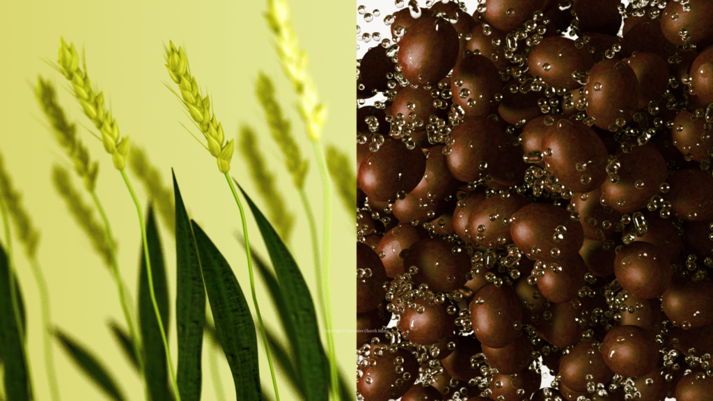 Grape And Grain Graphics Progressive Church Media