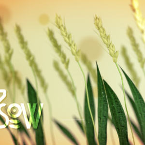 Reap And Sow Video - wheat in a field ready to be harvested