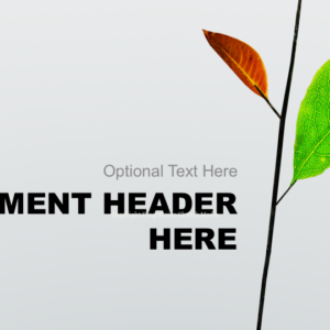 To Every Thing PowerPoint - slide features a stem with one leaf growing and one leaf dying