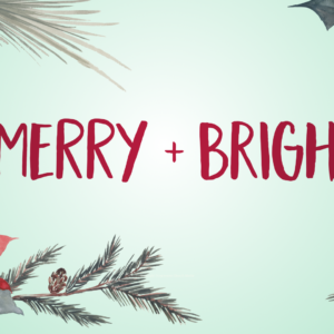 Christmas Background Video - watercolor images of Christmas tree branches and holly