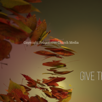 Give Thanks Video - close-up of a group of swirling fall leaves