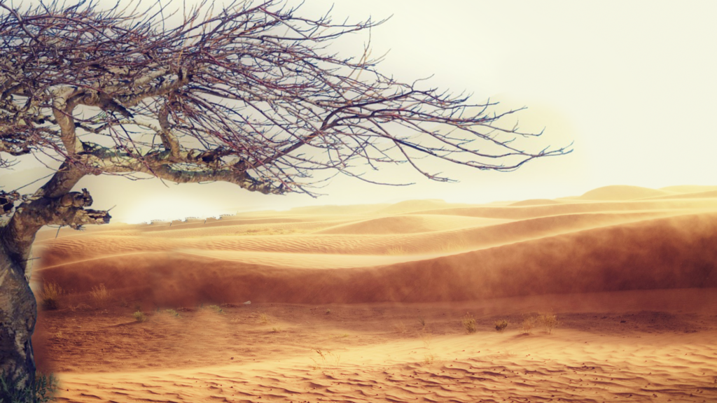 Lent Church Welcome Graphics (Barren Places)