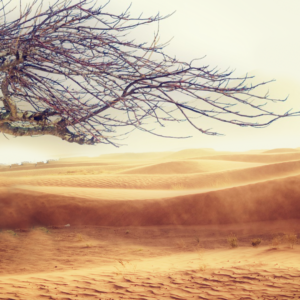 Lent Church Welcome Graphics - a barren wilderness scene