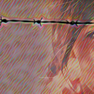 No Human Is Illegal 2 Graphics - a little girl looks at the viewer from behind a barbed wire fence