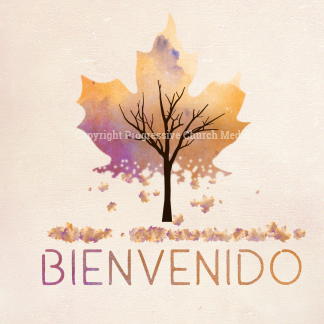 Falling Leaves Video. Falling leaves welcome everyone to worship