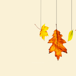 Happy Thanksgiving 2018 Graphics. Colorful fall leaves welcome all