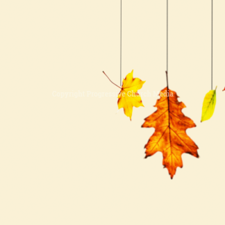 Happy Thanksgiving 2018 Graphics. Colorful fall leaves welcome all