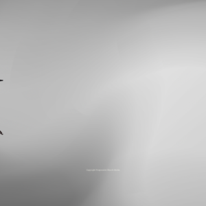 Good Friday 2019 Graphics - image features a stylized crown of thorns