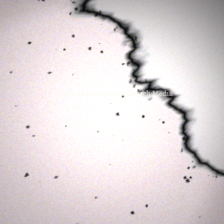 Ash wednesday ts eliot pdf image