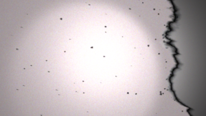 History of lent and ash wednesday image