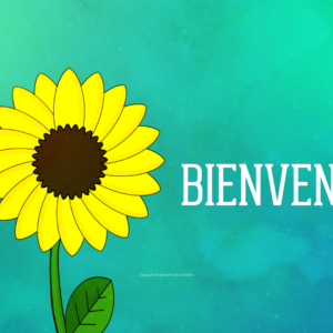 First Day Of Spring Video. A honey bee helps you welcome the start of a new season