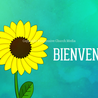 First Day Of Spring Video. A honey bee helps you welcome the start of a new season