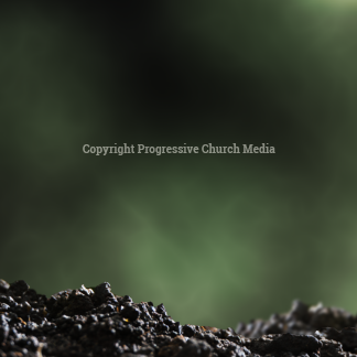 Growth Graphics - A seedling peaks out of the soil - a symbol of growth and new beginnings