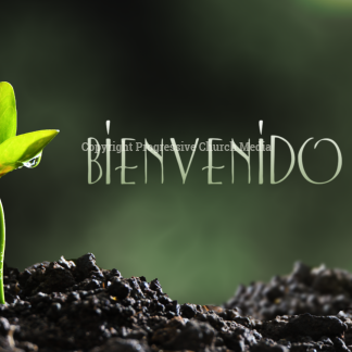 Growth Video - seedling peaks out from the soil - with the word "Bienvenido"