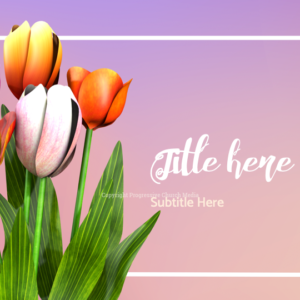 Mothers Day Tulips PowerPoint. Celebrate mothers with our colorful tulips