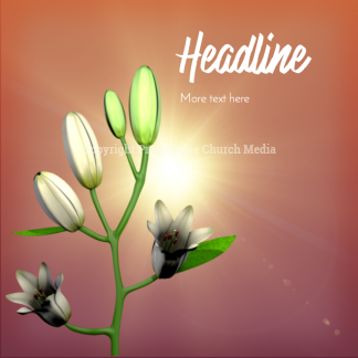 Easter Lilies Social Media. Our Easter Lilies open their blooms to welcome you and Easter.