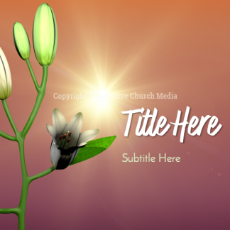 Easter Lilies PowerPoint. Our Easter Lilies open their blooms to welcome you and Easter.