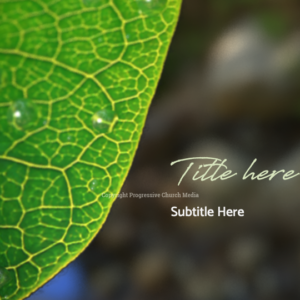 Spring Dew PowerPoint. Slide features dew drops form on a leaf, a sign of the beauty of Creation