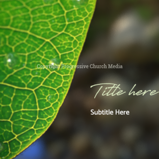 Spring Dew PowerPoint. Slide features dew drops form on a leaf, a sign of the beauty of Creation