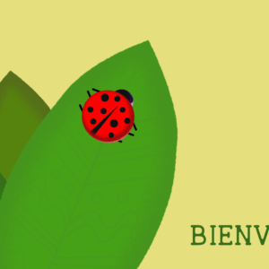 Ladybug Video. Stylized ladybug crawls across green leaves against a yellow sky.