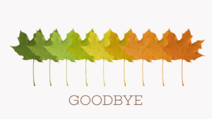 Fall Maple Leaf PowerPoint - Progressive Church Media