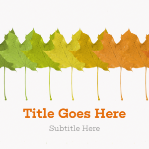 Fall Maple Leaf PowerPoint. Maple leaf shows the changes of seasons.