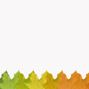 Fall Maple Leaf Graphics. Maple leaf shows the changes of seasons.