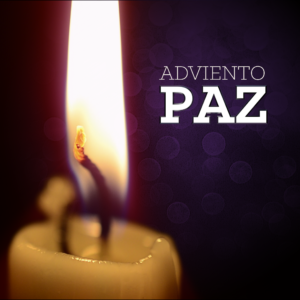 Advent 2019 Social Media. Videos for every week of Advent. Formatted for social media.