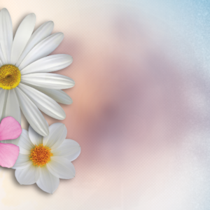 Floral Festival Graphics. Image features festive flowers welcome everyone.