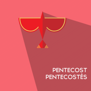 Pentecost Long Shadow Social Media. Post features a stylized dove with a long shadow welcomes all.