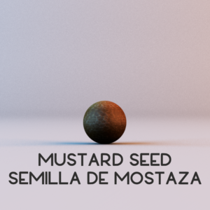 Mustard Seed Social Media. Worship resources inspired by Matthew 17:20.