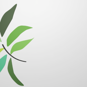 Palm Sunday Worship Graphics. A single palm frond in many shades of green to celebrate Palm Sunday.