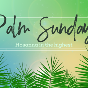 Palm Sunday 1 Videos. Palm fronds wave across the screen – calling you to celebrate Jesus’ arrival on Palm Sunday.
